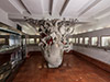 A duo of Micro Museums in Guadalest