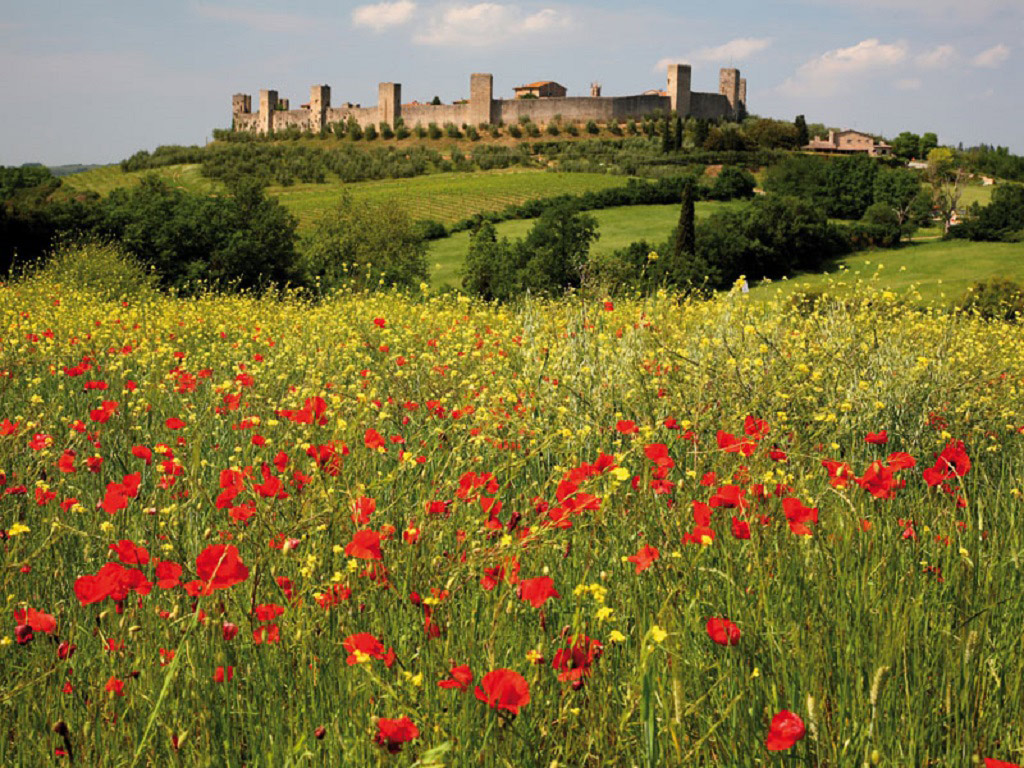 The Wonders of Chianti - Half-Day Tour - Florence
