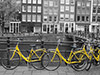 Big City Bike Tour