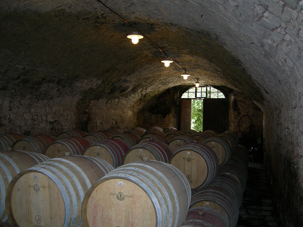 Special Discount Offer: Chianti Authentic Experience with Two Wine Tastings - Florence