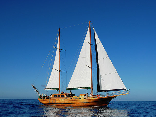 A Coastline Cruise on the Aphrodite Gulet with Lunch