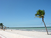 Magic of Dizbichaltun, Progreso and Uaymitun