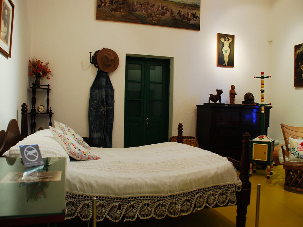 The Blue House, Diego Rivera's Museum and Shopping - Private Tour - Mexico City