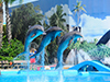 Zoomarine theme park - only ticket