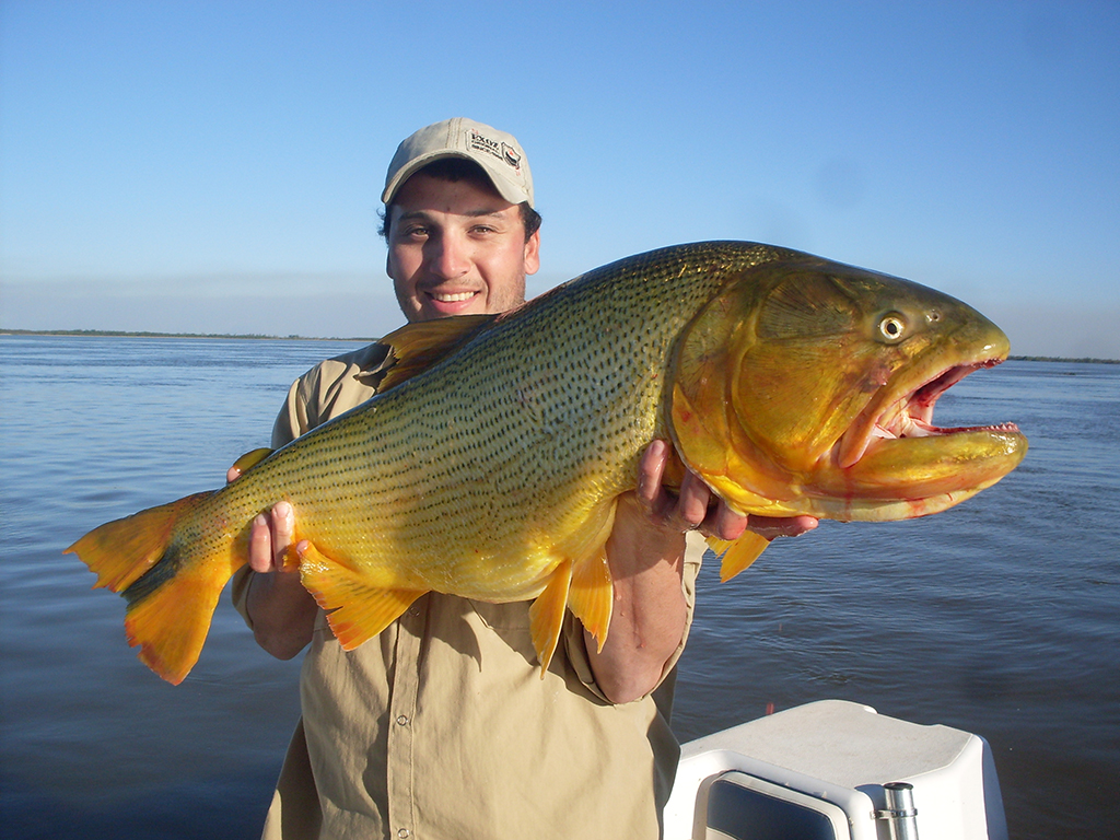 Fishing Day Trip in Buenos Aires