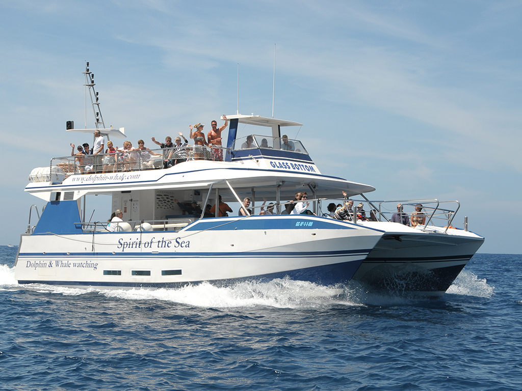 Spirit of the Sea cruise (Tour with swimming stop)