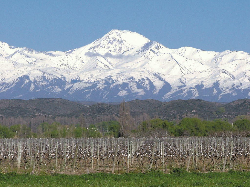 Canopy adventure in Mendoza