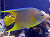 Key West Aquarium