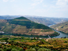Douro Valley tour in minibus