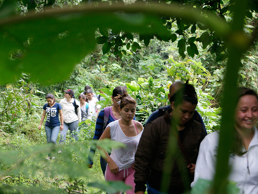 Trek through Zipacon - Bogota