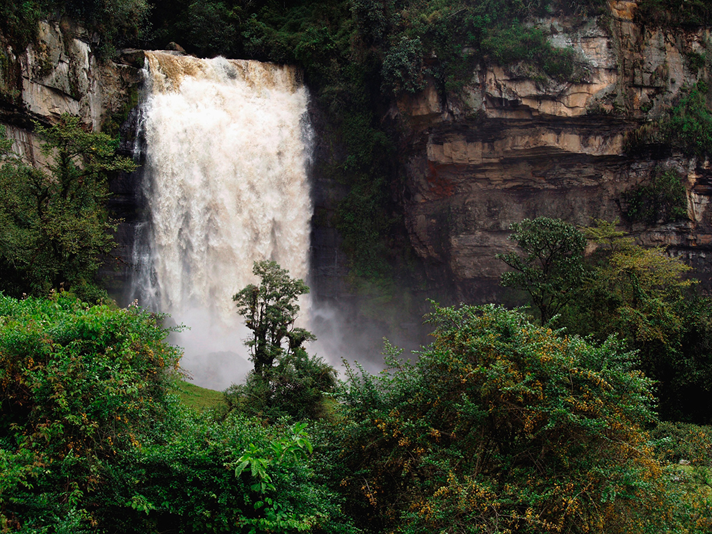 Trek through Sueva Falls - Bogota