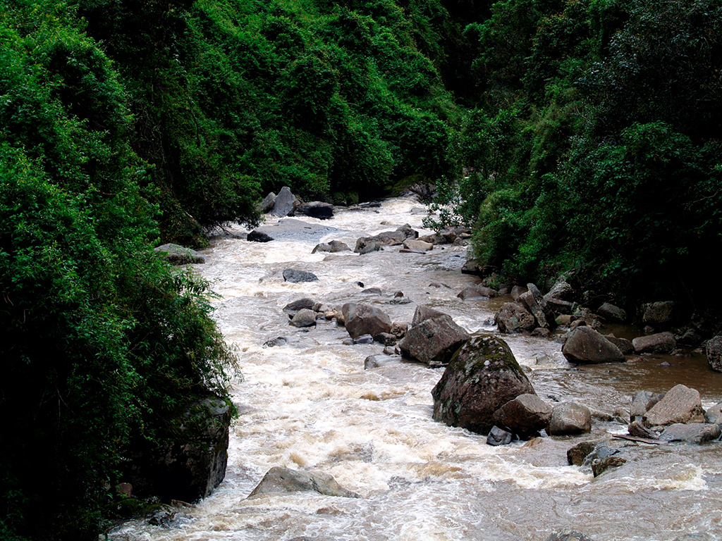 Trek through Sueva Falls - Bogota