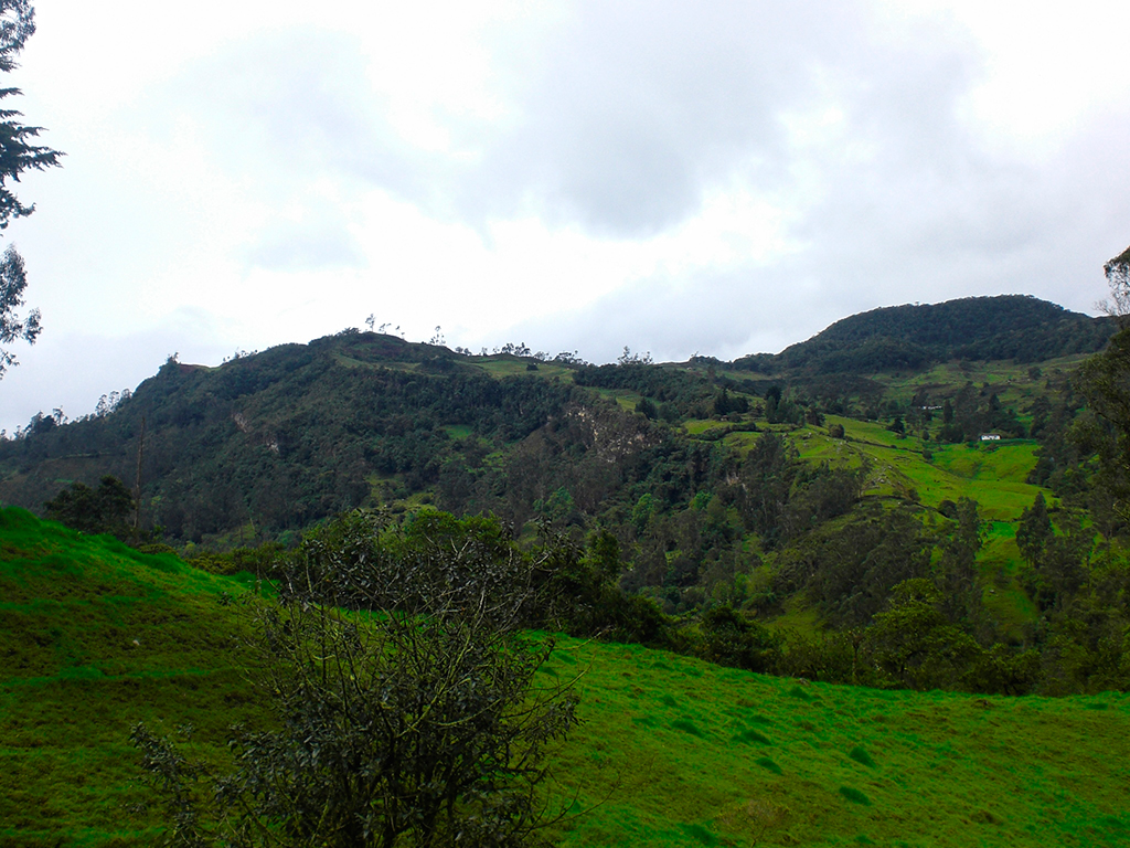 Trek through Sueva Falls - Bogota