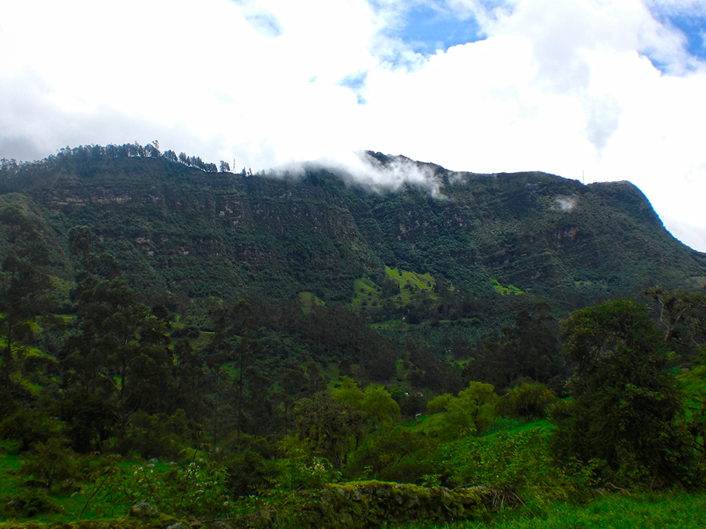 Trek through Sueva Falls - Bogota