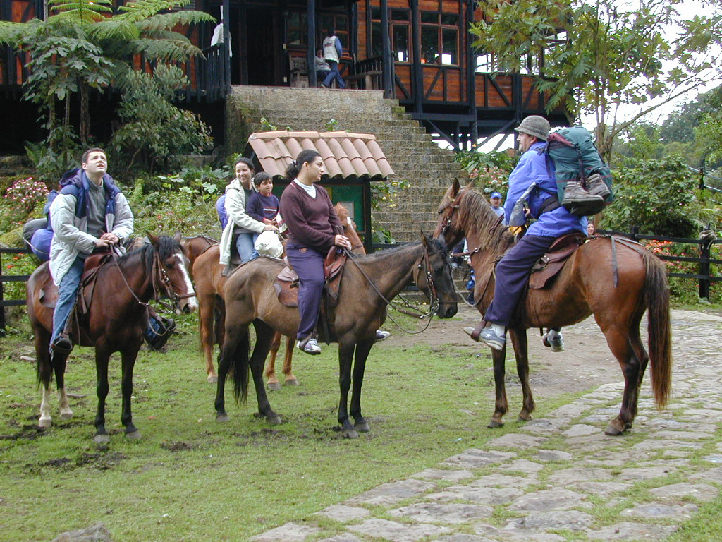 Trek through Chicaque Natural Park - Bogota