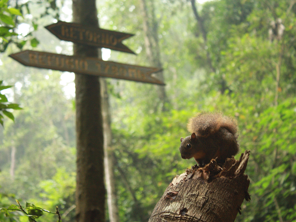 Trek through Chicaque Natural Park - Bogota
