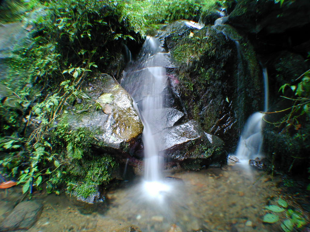 Trek through Chicaque Natural Park - Bogota