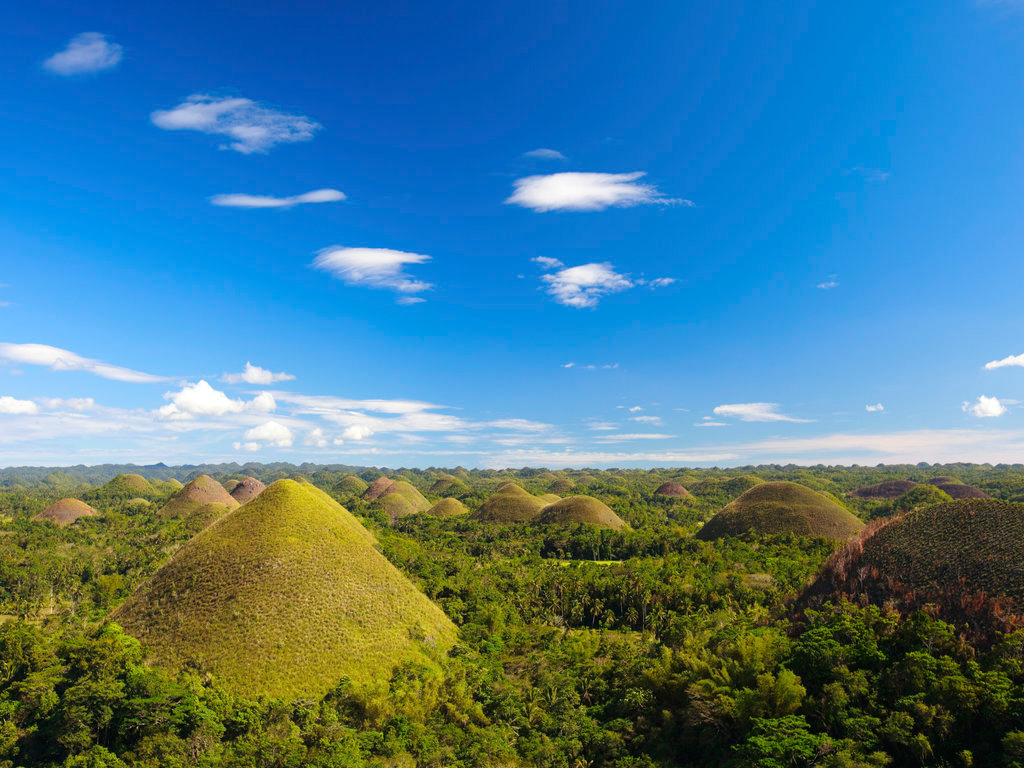 Discover Bohol - Private Tour - Cebu