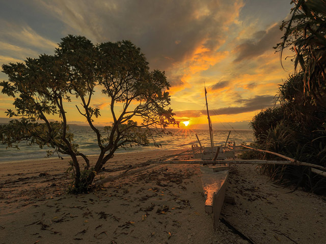 Balicasag island tour - Bohol