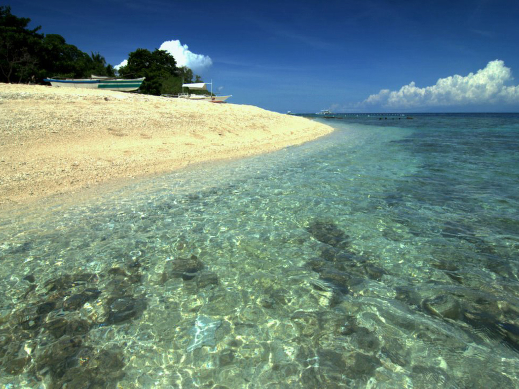 Balicasag island tour - Bohol