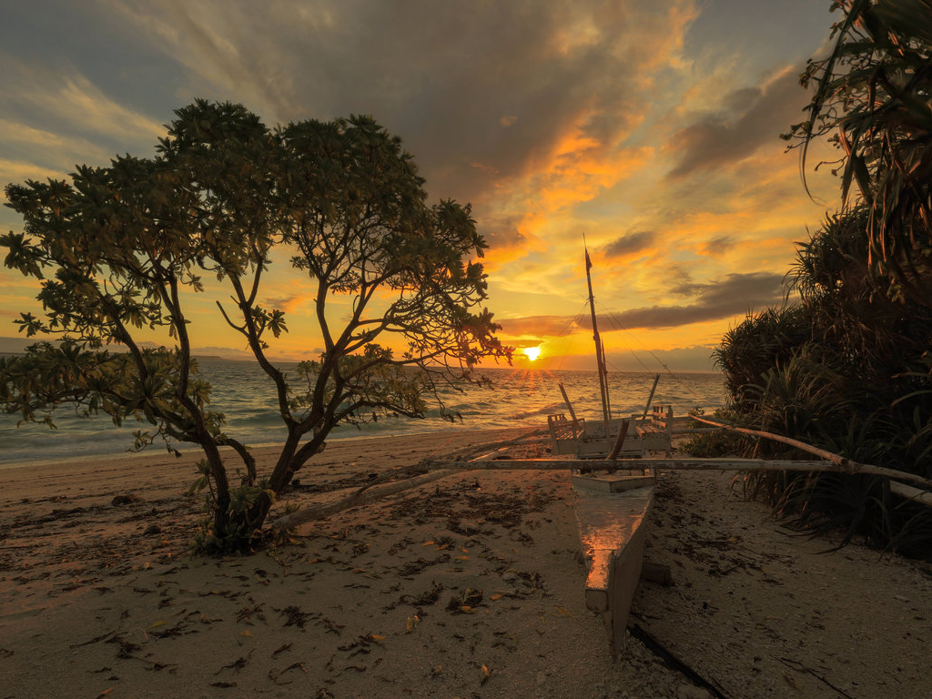 Balicasag island tour - Bohol