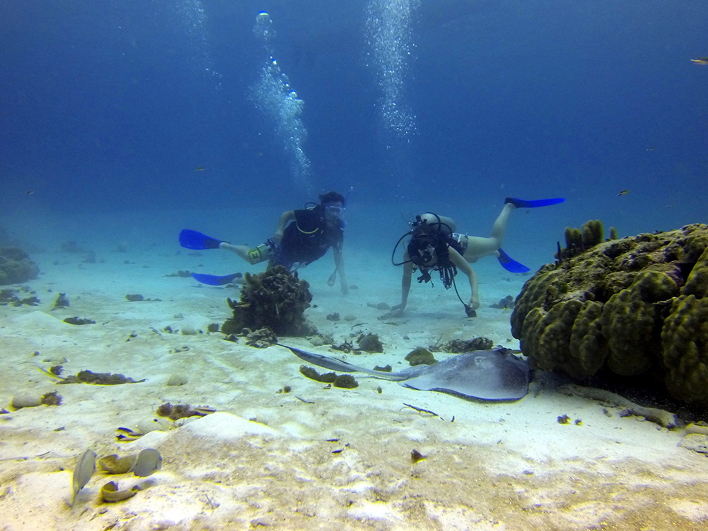 Diving Short Course - San Andres