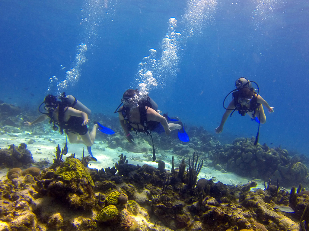 Diving Short Course - San Andres