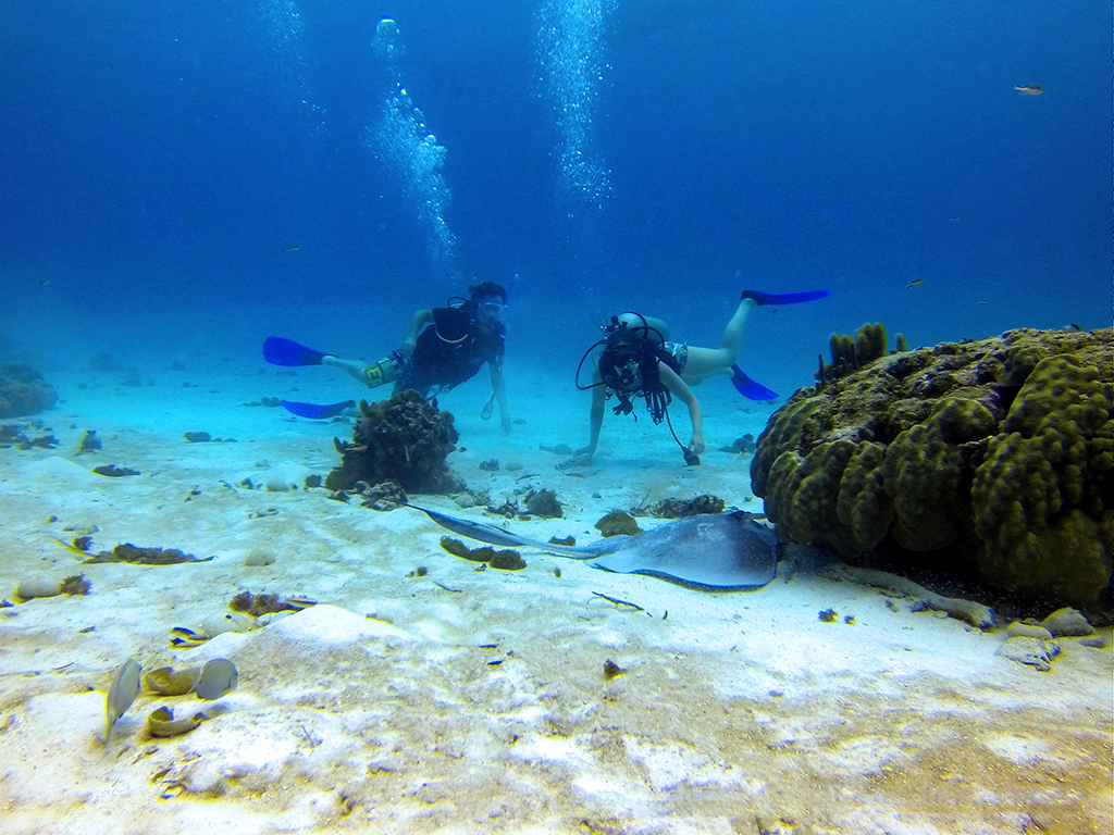 Scuba Diving Tour - San Andres