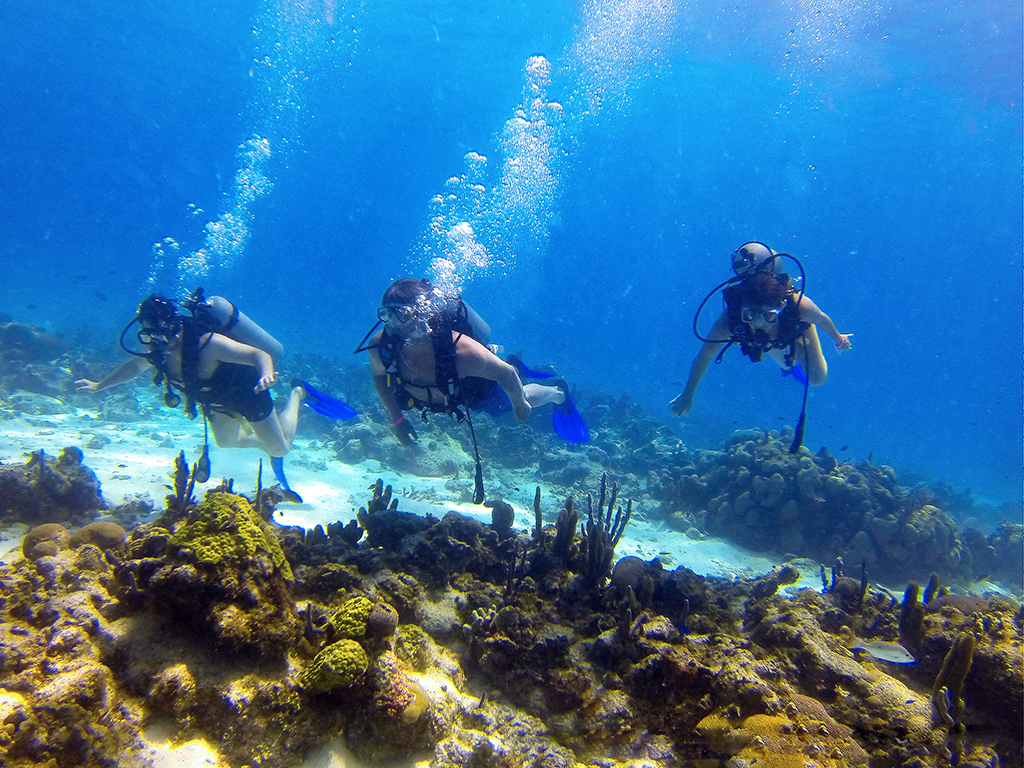 Scuba Diving Tour - San Andres