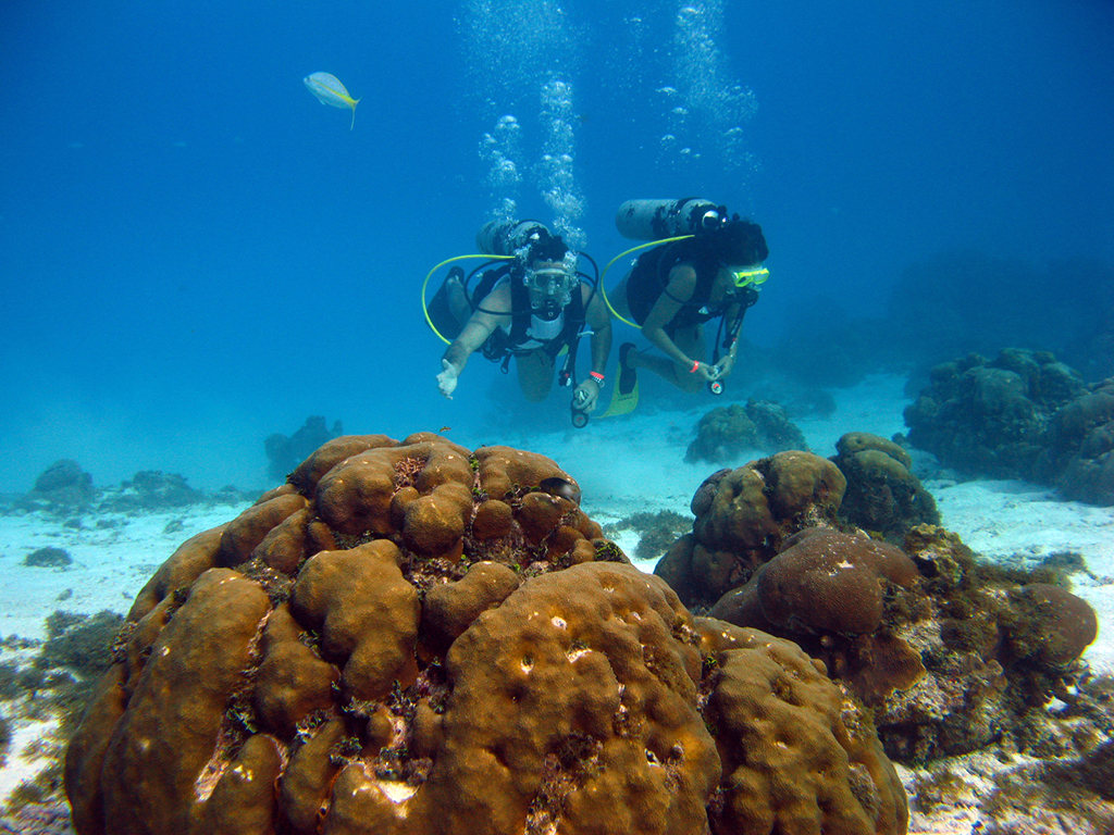 Scuba Diving Tour - San Andres