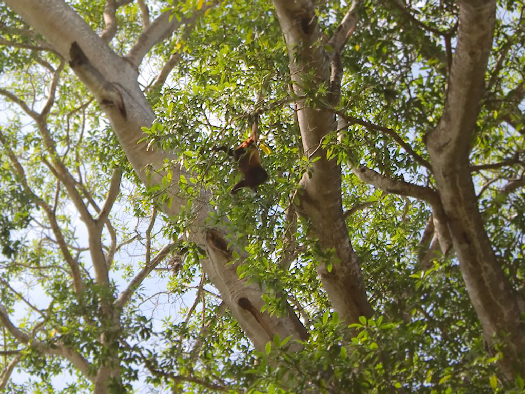 Visit the Taironaka ecoturism centre - Santa Marta