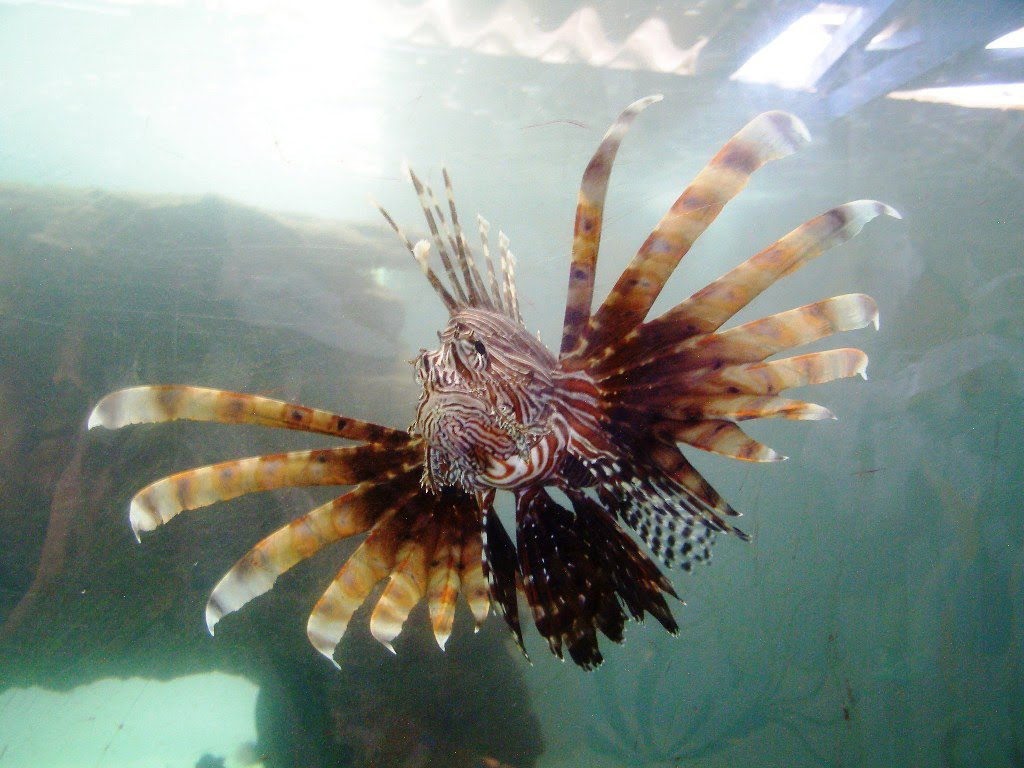 Mundo Marino Aquarium and Playa Blanca - Santa Marta