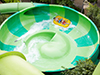 Adventure Cove Waterpark with transfer