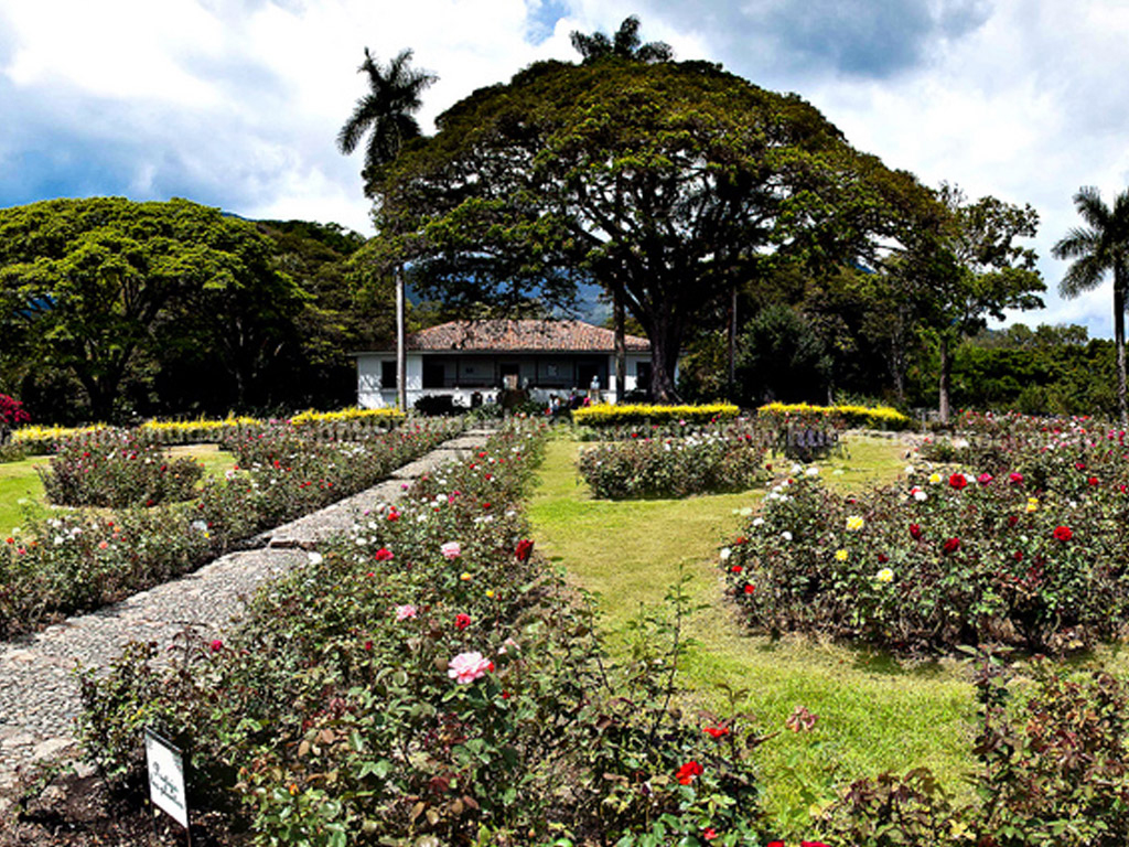 Paraiso Ranch and Sugar Cane Museum - Private Tour - Cali
