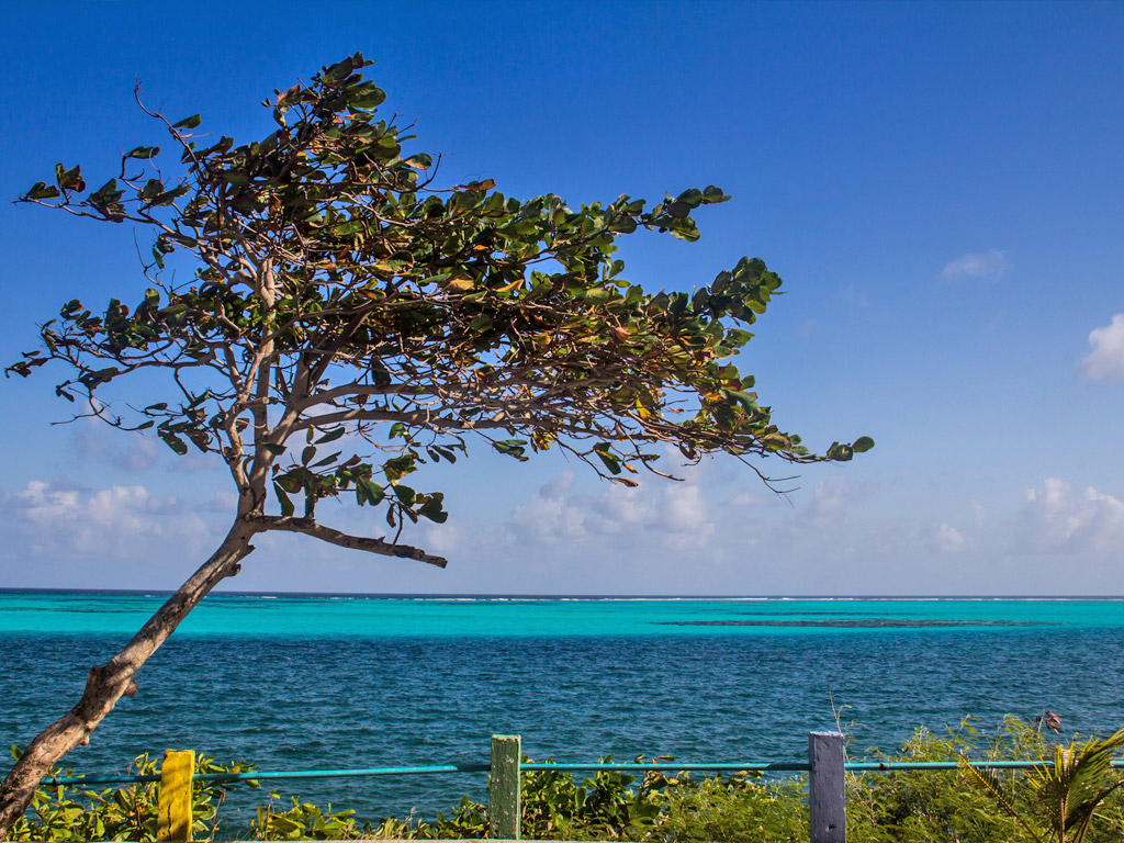 Tour of the island in Chiva - San Andres