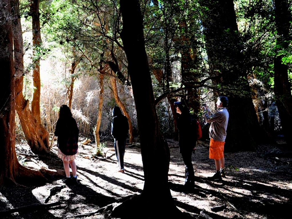 Llao Llao trekking - Private - Bariloche