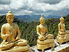 Krabi City and Temples Private Tour