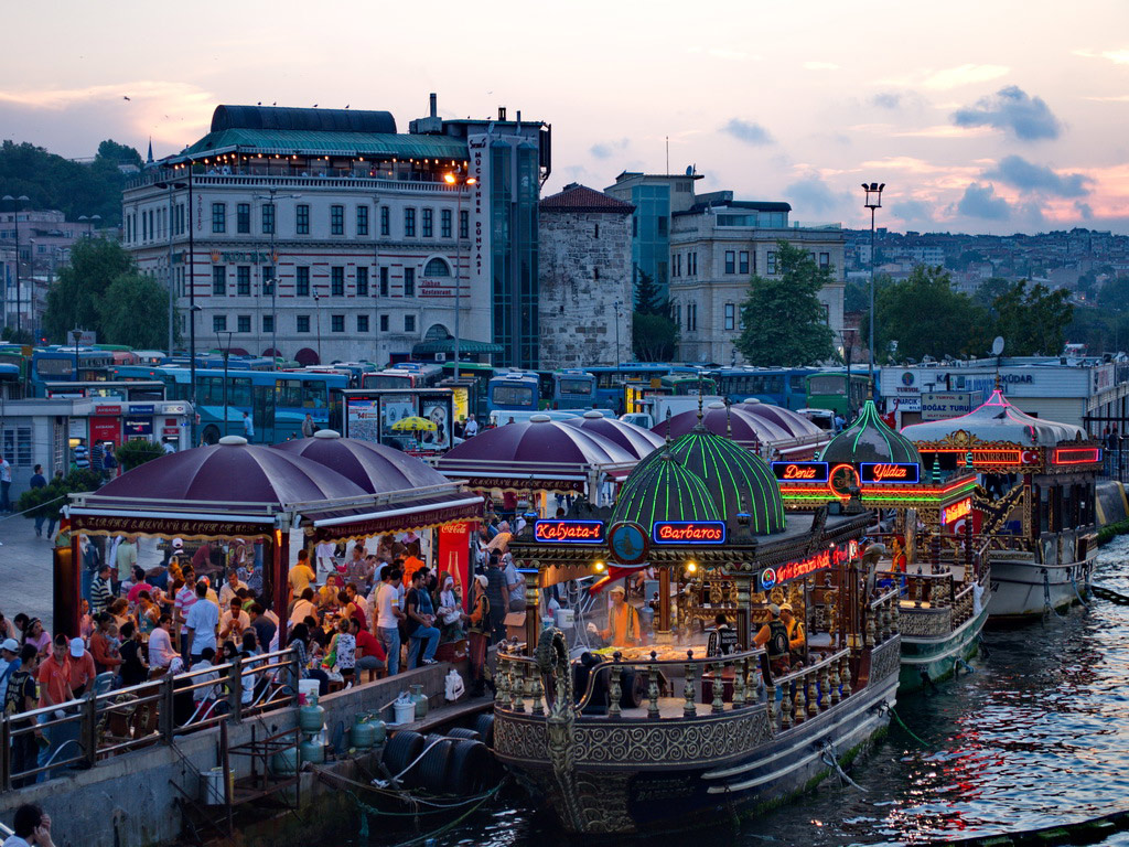 Vehicle and Guide Service - Istanbul