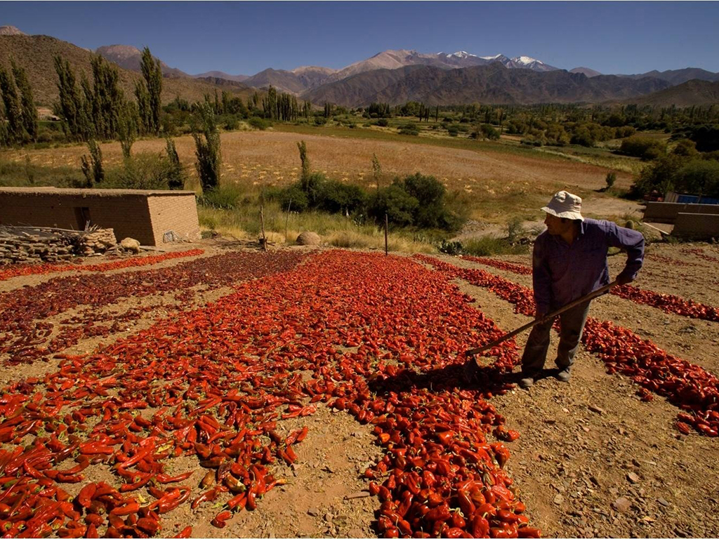 Calchaquies valley tour - Salta