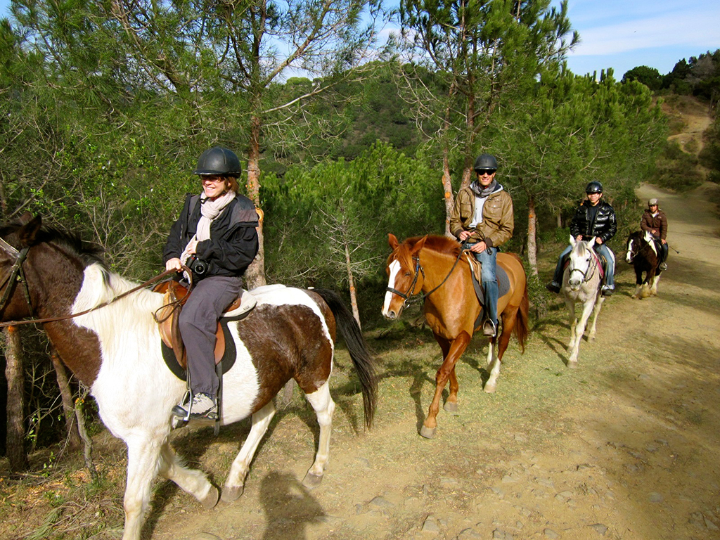 Horseback Riding Tour in a Natural Park Barcelona