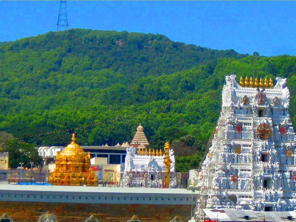 Excursion to Tirupati - Private