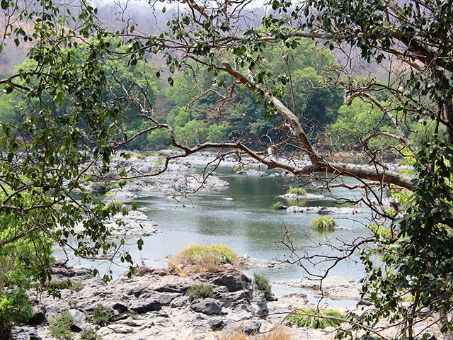 Cauvery Fishing Camp - Private Tour