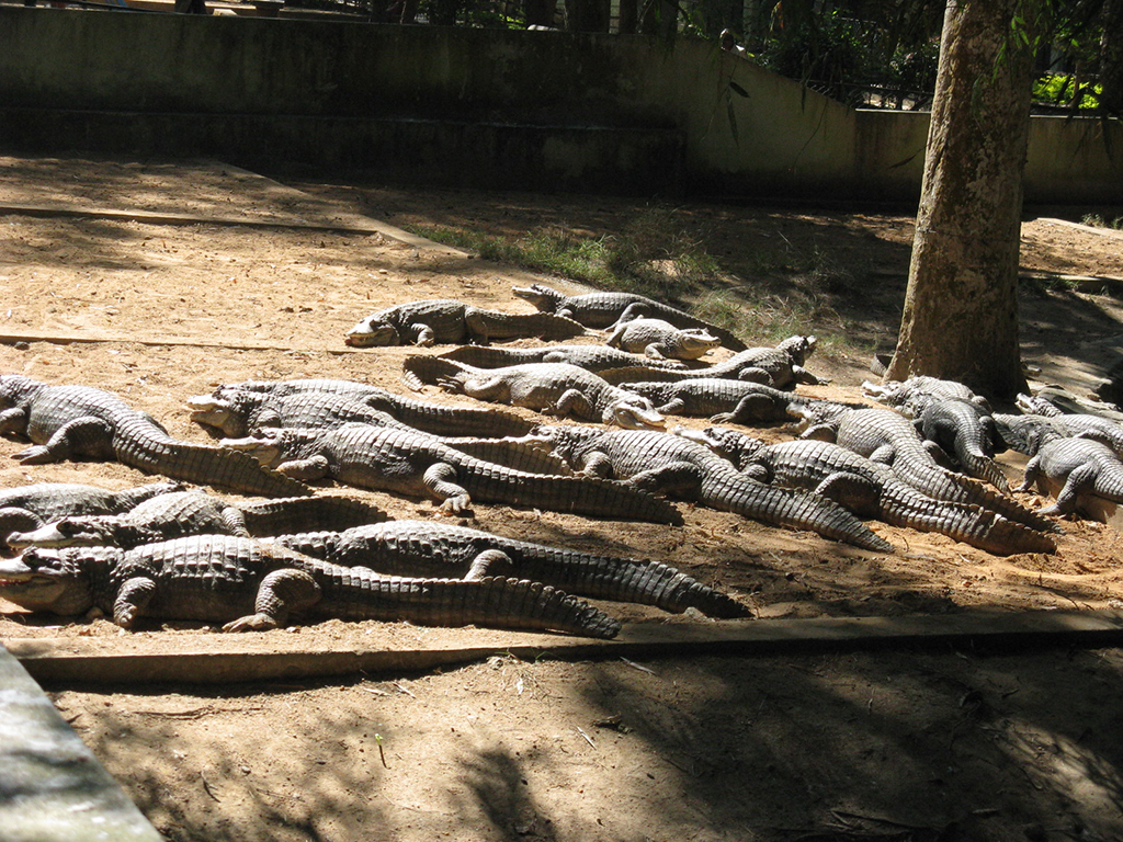 Bannerghatta National Park - Private Tour
