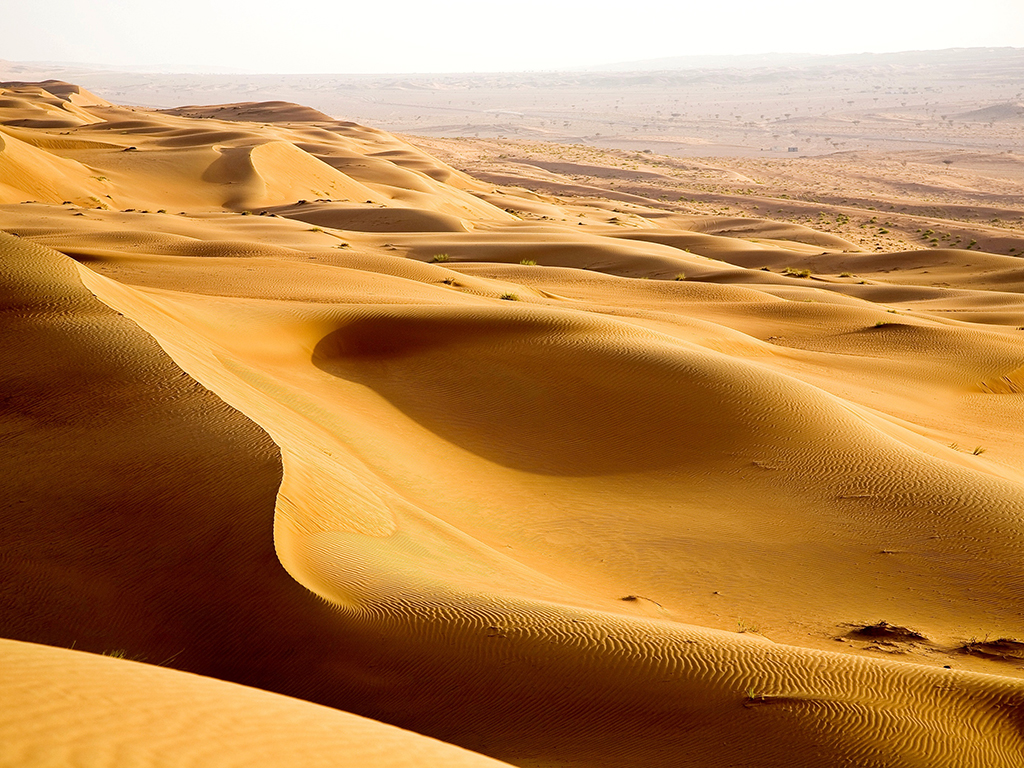 Wahiba Sands Full Day Tour - Muscat