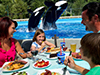 SeaWorld Up-Close Dining at Shamu Stadium