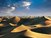 Desert safari tour
