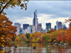 Central Park Tour