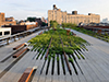 Cowboys and Cookies - The High Line Park