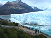 Glaciers National Park and boat tour