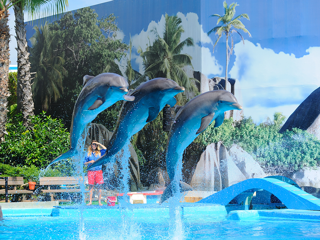 Zoomarine theme park - 2 Days ticket only